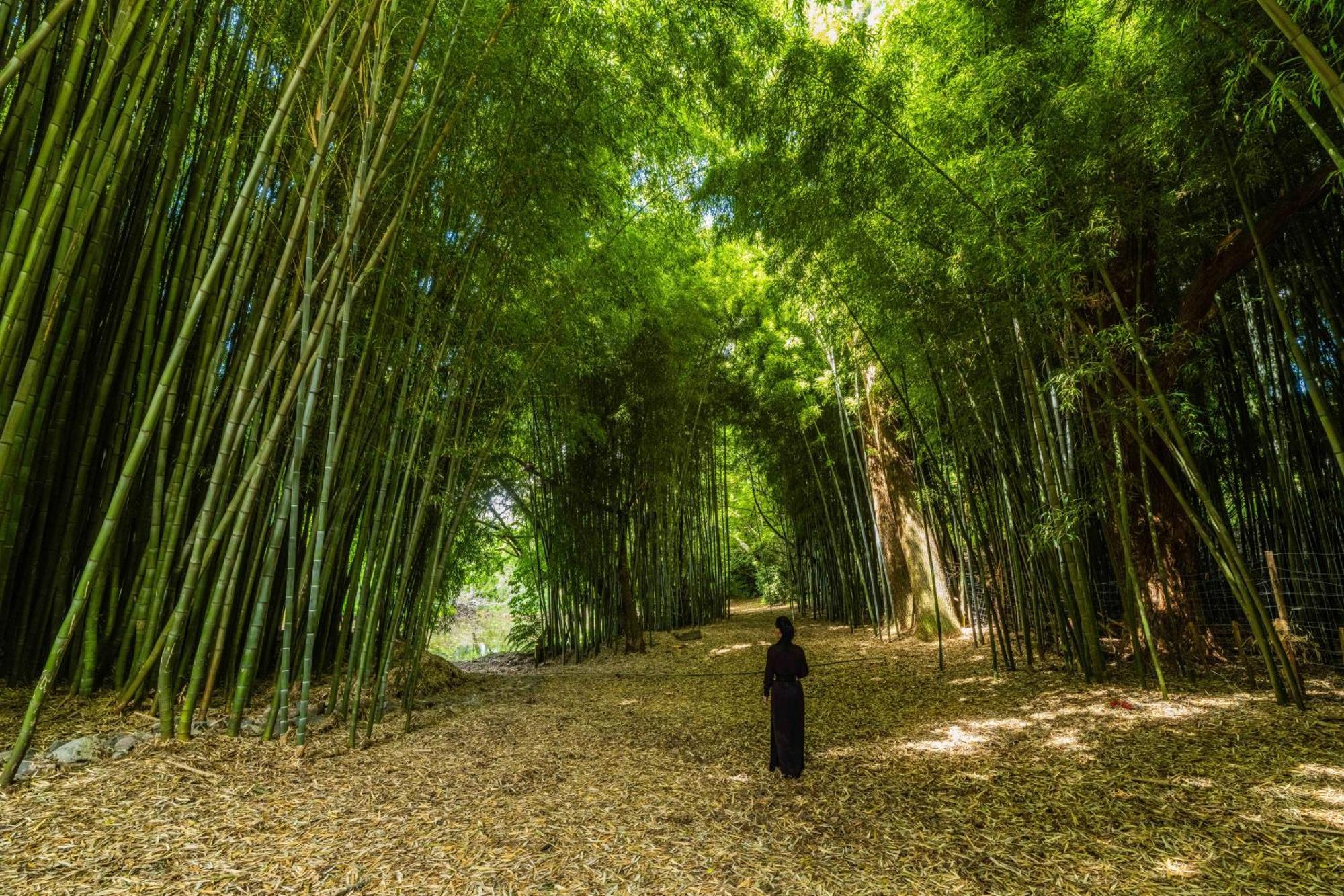 Hana Lodge روتوروا المظهر الخارجي الصورة